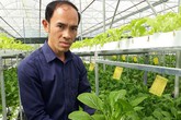 Kỹ sư bỏ việc nhà nước về trồng rau thủy canh, lãi 60 triệu/tháng Kỹ sư bỏ việc nhà nước về trồng rau thủy canh, lãi 60 triệu/tháng