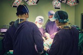 Người phụ nữ bị khỉ nuôi cắn dập nát cánh tay trái Người phụ nữ bị khỉ nuôi cắn dập nát cánh tay trái