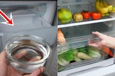 Trước khi ngủ đặt bát nước vào tủ lạnh, sáng hôm sau mẹ trẻ vỡ òa khi thấy thành quả Trước khi ngủ đặt bát nước vào tủ lạnh, sáng hôm sau mẹ trẻ vỡ òa khi thấy thành quả