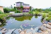 Tiến sĩ Hà Nội cải tạo mảnh đất sỏi đá thành nhà vườn sum suê cây trái Tiến sĩ Hà Nội cải tạo mảnh đất sỏi đá thành nhà vườn sum suê cây trái