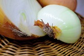 Mách bạn 19 mẹo vệ sinh mọi ngóc ngách trong nhà bếp sạch như lau như li Mách bạn 19 mẹo vệ sinh mọi ngóc ngách trong nhà bếp sạch như lau như li