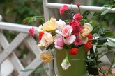 Người đàn ông Hà Thành trút bỏ những muộn phiền bằng cách cắm những bình hoa đẹp tự nhiên như một phần cuộc sống Người đàn ông Hà Thành trút bỏ những muộn phiền bằng cách cắm những bình hoa đẹp tự nhiên như một phần cuộc sống
