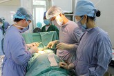 Bắc Ninh: BVĐK huyện Yên Phong xây dựng cơ sở y tế xanh, sạch, đẹp Bắc Ninh: BVĐK huyện Yên Phong xây dựng cơ sở y tế xanh, sạch, đẹp