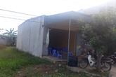 Sống “3 không” ngay giữa lòng TP Sầm Sơn Sống “3 không” ngay giữa lòng TP Sầm Sơn