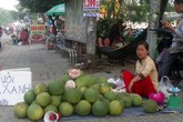 Bưởi da xanh giá rẻ chất đống bán vỉa hè Bưởi da xanh giá rẻ chất đống bán vỉa hè