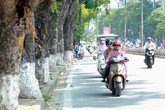 Dự báo thời tiết 3/11: Miền Bắc hanh khô, ngày nắng đêm lạnh Dự báo thời tiết 3/11: Miền Bắc hanh khô, ngày nắng đêm lạnh