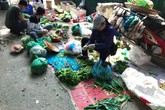 Dễ rước họa vì ăn rau sống không rõ nguồn gốc Dễ rước họa vì ăn rau sống không rõ nguồn gốc