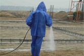 Phòng chống mối, côn trùng là “quy phạm bắt buộc” cho công trình xây dựng Phòng chống mối, côn trùng là “quy phạm bắt buộc” cho công trình xây dựng