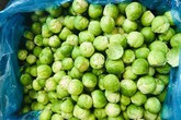 Kì lạ loại bắp cải to bằng quả chanh nhưng đắt gấp 30 lần bắp cải Việt Nam Kì lạ loại bắp cải to bằng quả chanh nhưng đắt gấp 30 lần bắp cải Việt Nam