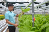 Kỹ sư bỏ lương 15 triệu ở công ty nước ngoài về làm nông dân Kỹ sư bỏ lương 15 triệu ở công ty nước ngoài về làm nông dân