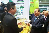 Vinamilk đẩy mạnh thâm nhập thị trường Trung Quốc Vinamilk đẩy mạnh thâm nhập thị trường Trung Quốc