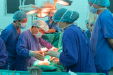 Nhìn lại một năm nhiều thành tựu của ngành Ghép tạng Nhìn lại một năm nhiều thành tựu của ngành Ghép tạng