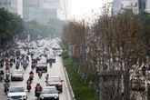 Hà Nội: Hàng phong trên đường Trần Duy Hưng chưa kịp chuyển màu đỏ đã bất ngờ héo úa Hà Nội: Hàng phong trên đường Trần Duy Hưng chưa kịp chuyển màu đỏ đã bất ngờ héo úa