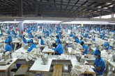 Ép nhân viên đi làm dịp Tết Dương: Bị phạt 15 triệu Ép nhân viên đi làm dịp Tết Dương: Bị phạt 15 triệu