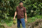 Rời bỏ vị trí cố vấn chủ tịch tập đoàn lớn, anh "nông dân" về bán sầu riêng chỉ một giá 200.000 đồng mỗi kg Rời bỏ vị trí cố vấn chủ tịch tập đoàn lớn, anh "nông dân" về bán sầu riêng chỉ một giá 200.000 đồng mỗi kg
