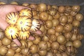 Bỏ quên nỗi lo hoa quả Trung Quốc, dân Việt tranh nhau mua ăn thử Bỏ quên nỗi lo hoa quả Trung Quốc, dân Việt tranh nhau mua ăn thử