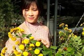 Vườn hoa bán Tết đẹp lung linh có 1-0-2 ở Sơn La Vườn hoa bán Tết đẹp lung linh có 1-0-2 ở Sơn La
