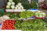 Giáp Tết lại “nóng” chuyện an toàn vệ sinh thực phẩm Giáp Tết lại “nóng” chuyện an toàn vệ sinh thực phẩm