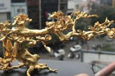 Đại gia Hà thành ráo riết "săn" mai đúc vàng giá nửa tỷ làm quà biếu Tết Đại gia Hà thành ráo riết "săn" mai đúc vàng giá nửa tỷ làm quà biếu Tết