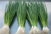 Vợ cười mếu khi khoán cho chồng đi mua sắm ngày Tết Vợ cười mếu khi khoán cho chồng đi mua sắm ngày Tết