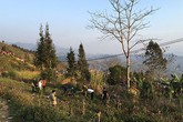 Một chiến sĩ Công an hi sinh trong ngày Mùng 2 Tết Một chiến sĩ Công an hi sinh trong ngày Mùng 2 Tết