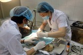 Khóc cười nghề làm bác sĩ cho… thú cưng Khóc cười nghề làm bác sĩ cho… thú cưng