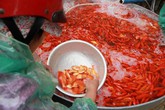 Lùng khắp miền Bắc gom 5 tấn chép đỏ: Chờ 1 dịp lãi 100 triệu Lùng khắp miền Bắc gom 5 tấn chép đỏ: Chờ 1 dịp lãi 100 triệu