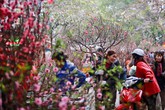 Sợ nhất phúc thành họa nếu ngày Tết vung tay kiểu này Sợ nhất phúc thành họa nếu ngày Tết vung tay kiểu này