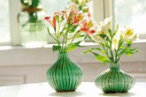 Chơi hoa, cây cảnh tết sao hút “tài lộc”? Chơi hoa, cây cảnh tết sao hút “tài lộc”?