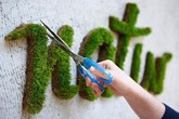 Không ai hiểu vì sao cô gái "rảnh" quét rêu, sữa chua lên tường cho đến khi thấy thành quả Không ai hiểu vì sao cô gái "rảnh" quét rêu, sữa chua lên tường cho đến khi thấy thành quả