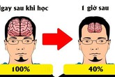 Lý do chúng ta luôn "học trước quên sau" và bí kíp để ghi nhớ "siêu" như máy tính Lý do chúng ta luôn "học trước quên sau" và bí kíp để ghi nhớ "siêu" như máy tính