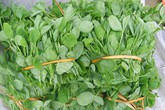 Những loại rau đặc sản Sa Pa ăn một lần là nhớ mãi Những loại rau đặc sản Sa Pa ăn một lần là nhớ mãi
