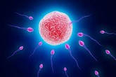 3 nhóm người có chất lượng tinh trùng tốt nhất 3 nhóm người có chất lượng tinh trùng tốt nhất