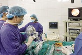Thực hư việc ăn nhiều tôm, cua làm gia tăng nguy cơ bị sỏi thận? Thực hư việc ăn nhiều tôm, cua làm gia tăng nguy cơ bị sỏi thận?