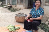 Người phụ nữ dân tộc thu 1 triệu đồng mỗi ngày Người phụ nữ dân tộc thu 1 triệu đồng mỗi ngày