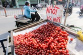 Trái cây đặc sản miền Bắc đổ bộ vỉa hè Sài Gòn Trái cây đặc sản miền Bắc đổ bộ vỉa hè Sài Gòn
