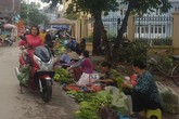 Vỉa hè nhiều nơi ở Hà Nội – như chưa hề có cuộc… ra quân (2): Họp chợ ngay dưới biển cấm Vỉa hè nhiều nơi ở Hà Nội – như chưa hề có cuộc… ra quân (2): Họp chợ ngay dưới biển cấm