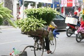 Miền Bắc sắp chuyển lạnh kèm mưa Miền Bắc sắp chuyển lạnh kèm mưa