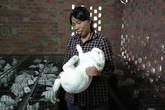Người phụ nữ kiếm 200 triệu/năm nhờ liều lĩnh Người phụ nữ kiếm 200 triệu/năm nhờ liều lĩnh