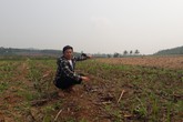 Huyện Nông Cống (Thanh Hoá): Dân khóc ròng vì dự án bò sữa dở dang Huyện Nông Cống (Thanh Hoá): Dân khóc ròng vì dự án bò sữa dở dang