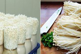 Tự trồng nấm kim châm tại nhà rất dễ, 2 tuần là ăn "đã đời", tội gì không trồng ngay Tự trồng nấm kim châm tại nhà rất dễ, 2 tuần là ăn "đã đời", tội gì không trồng ngay