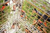 Kỳ nghỉ lễ 30.4 kỳ thú với game nhập vai thực tế ngoài trời lớn nhất miền Bắc Kỳ nghỉ lễ 30.4 kỳ thú với game nhập vai thực tế ngoài trời lớn nhất miền Bắc