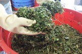 Hại đủ đường khi dùng sai dây thìa canh Hại đủ đường khi dùng sai dây thìa canh