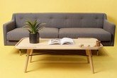 Sofa đắt tiền nhưng chủ nhà vẫn cả thèm chóng chán Sofa đắt tiền nhưng chủ nhà vẫn cả thèm chóng chán