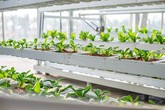 Độc đáo mô hình du lịch - nông nghiệp 5 sao đầu tiên của Việt Nam Độc đáo mô hình du lịch - nông nghiệp 5 sao đầu tiên của Việt Nam