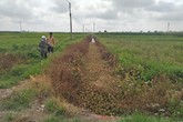 Huyện Hoằng Hóa (Thanh Hoá): Dân bức xúc vì doanh nghiệp gây ô nhiễm môi trường Huyện Hoằng Hóa (Thanh Hoá): Dân bức xúc vì doanh nghiệp gây ô nhiễm môi trường