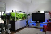 Đặt bể cá cảnh ở vị trí nào mới hút tài lộc vào nhà? Đặt bể cá cảnh ở vị trí nào mới hút tài lộc vào nhà?