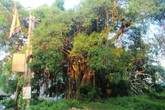 Vụ cụ ông gần 70 tuổi tự tử ở Phú Thọ: Lá thư tuyệt mệnh đọc ai cũng khóc Vụ cụ ông gần 70 tuổi tự tử ở Phú Thọ: Lá thư tuyệt mệnh đọc ai cũng khóc