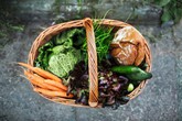 Ăn uống lành mạnh khiến bộ não lớn hơn và tăng thêm lượng chất xám Ăn uống lành mạnh khiến bộ não lớn hơn và tăng thêm lượng chất xám