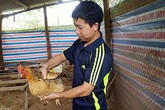 Trai xứ Lạng nuôi gà sáu ngón quý hiếm, mỗi tháng lãi gần 10 triệu Trai xứ Lạng nuôi gà sáu ngón quý hiếm, mỗi tháng lãi gần 10 triệu